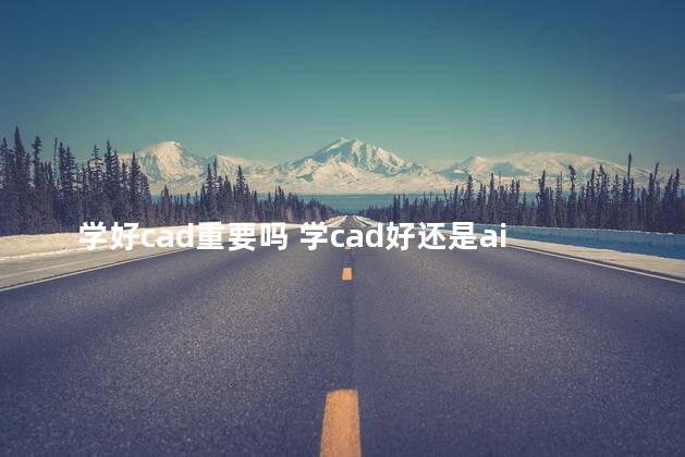 学好cad重要吗 学cad好还是ai好